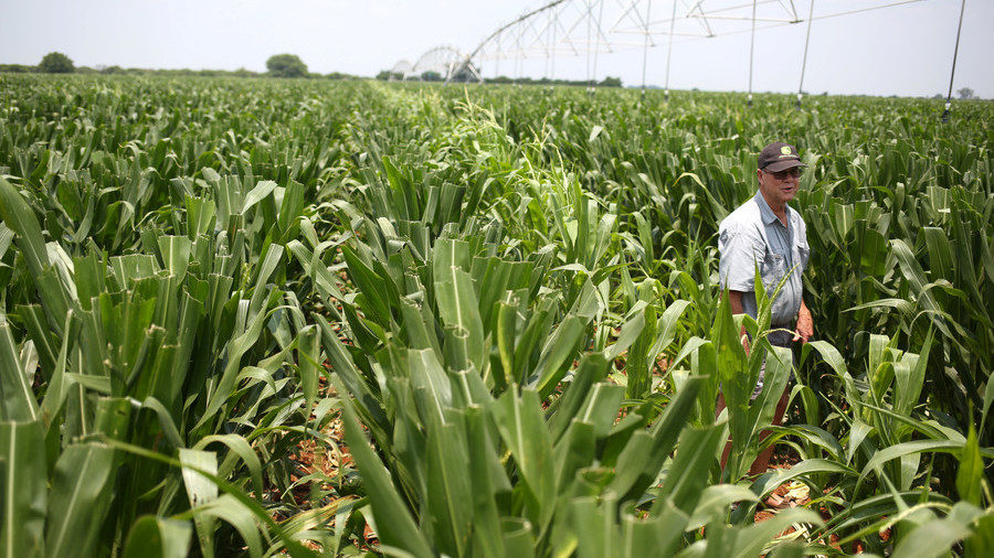 Click to enlarge A farm in northern province of Limpopo