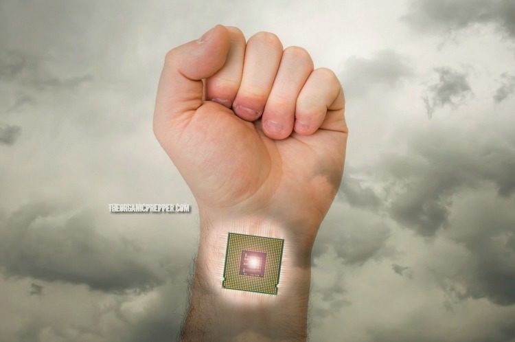 microchipped