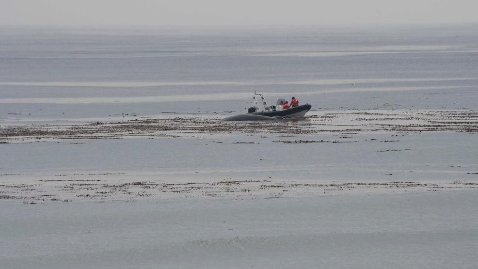 A dead humpback whale was discovered floating off shore near Sekiu Thursday morning, August 23, 2018.