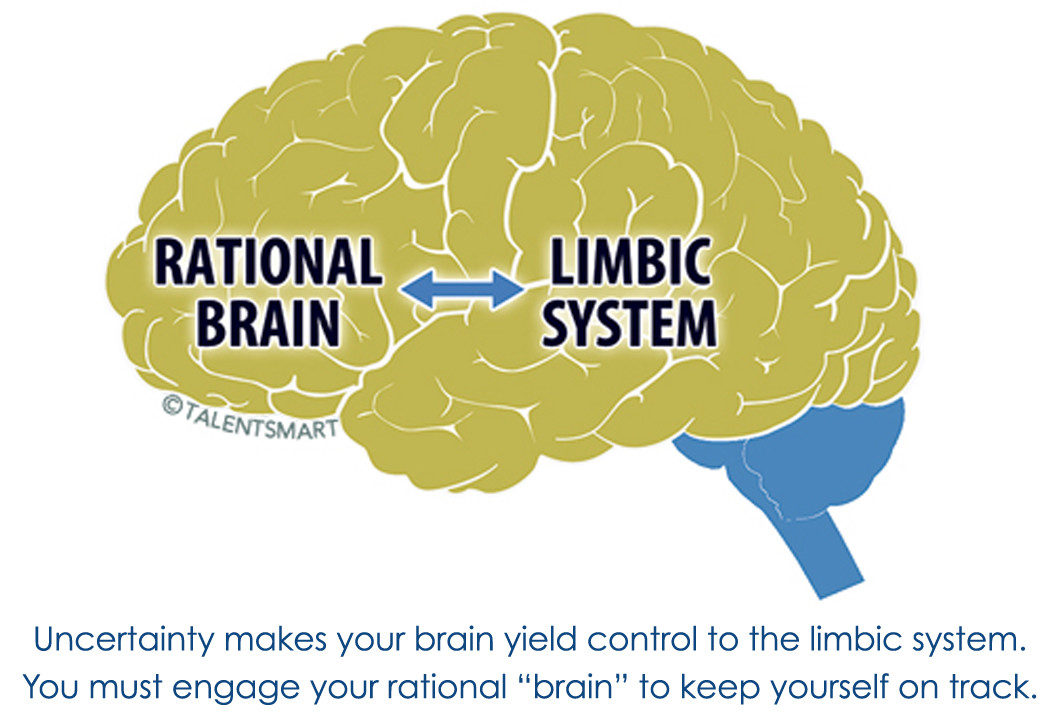 limbic system, uncertainty
