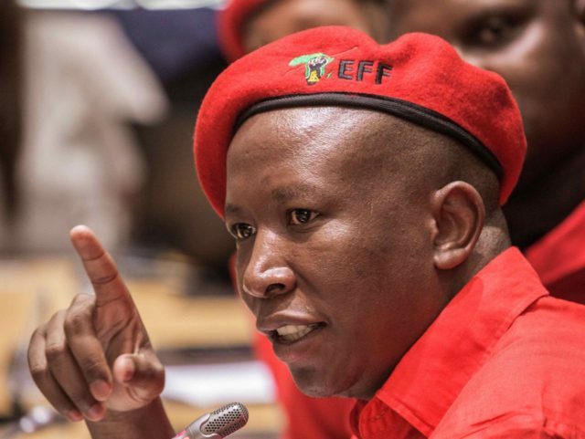 Click to enlarge South African politician Julius Malema