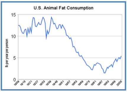 Animal Fat Consumption