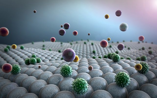 Click to enlarge Nanoparticles: The Tiniest Toxin