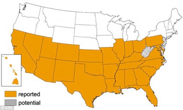 Click to enlarge US States affected Chagas disease