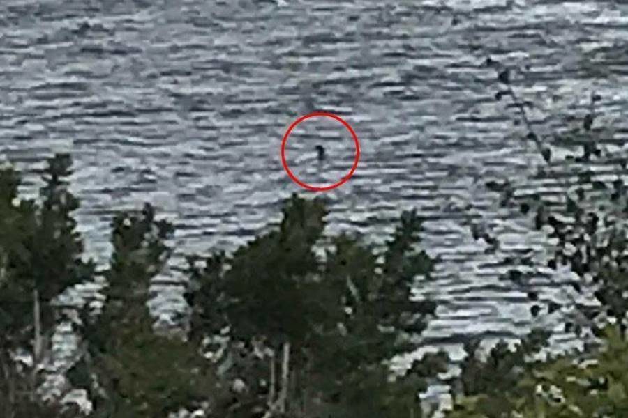 loch ness monster 2018