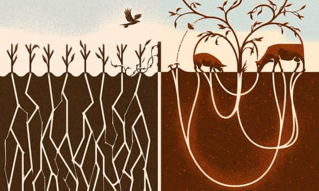 Click to enlarge farming image
