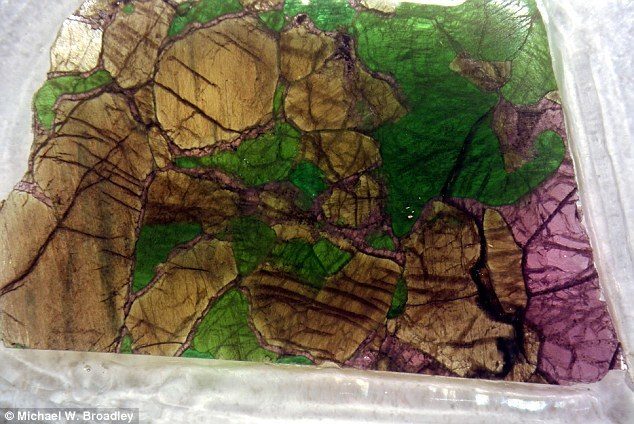 Click to enlarge mantle xenolith