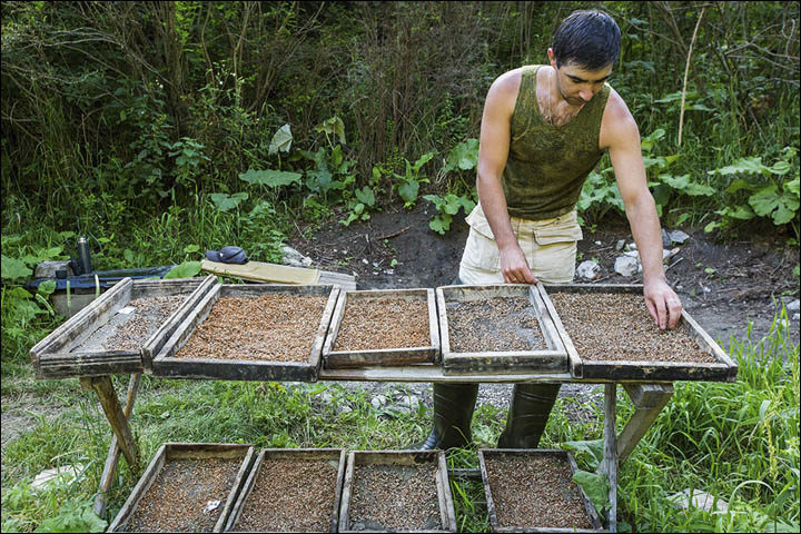 sorting finds denisova