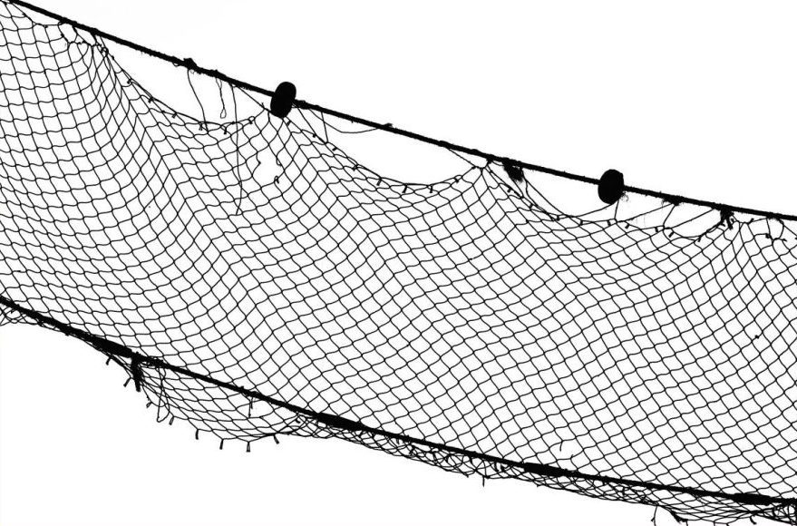 Click to enlarge fish net