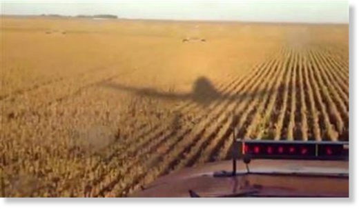 Genetically Modified Children