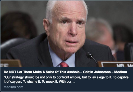 john mccain article