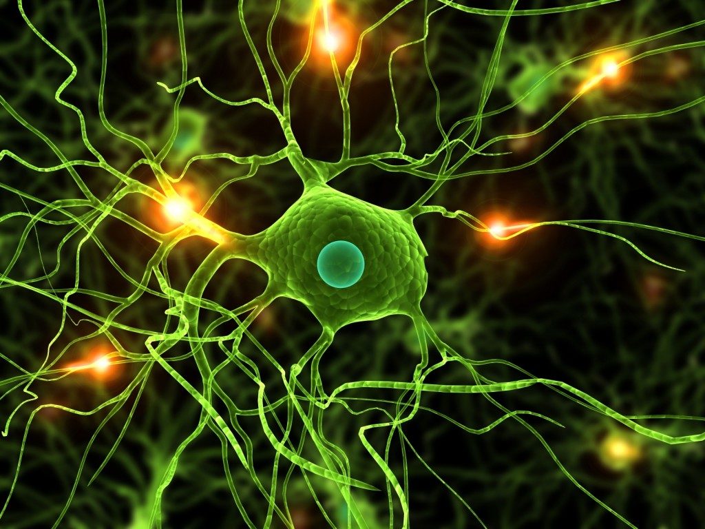 Click to enlarge brain cell green