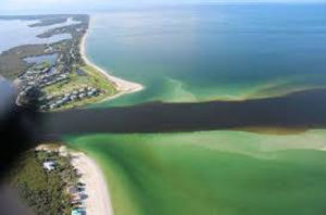 algea blooms lake O florida