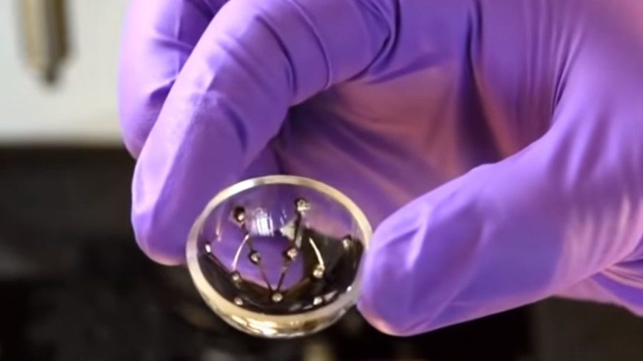 bionic eye