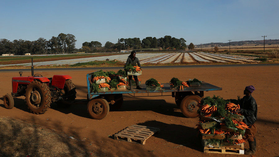 Click to enlarge Farmers