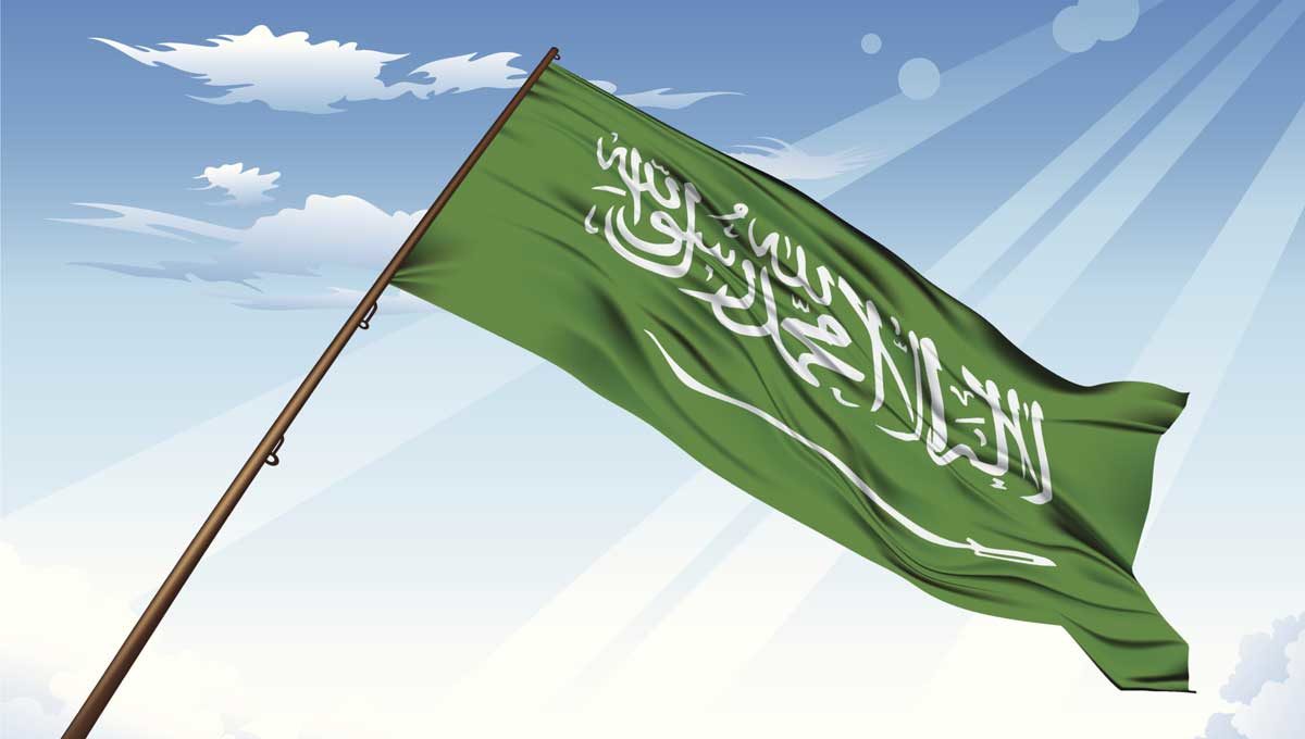 SA Flag