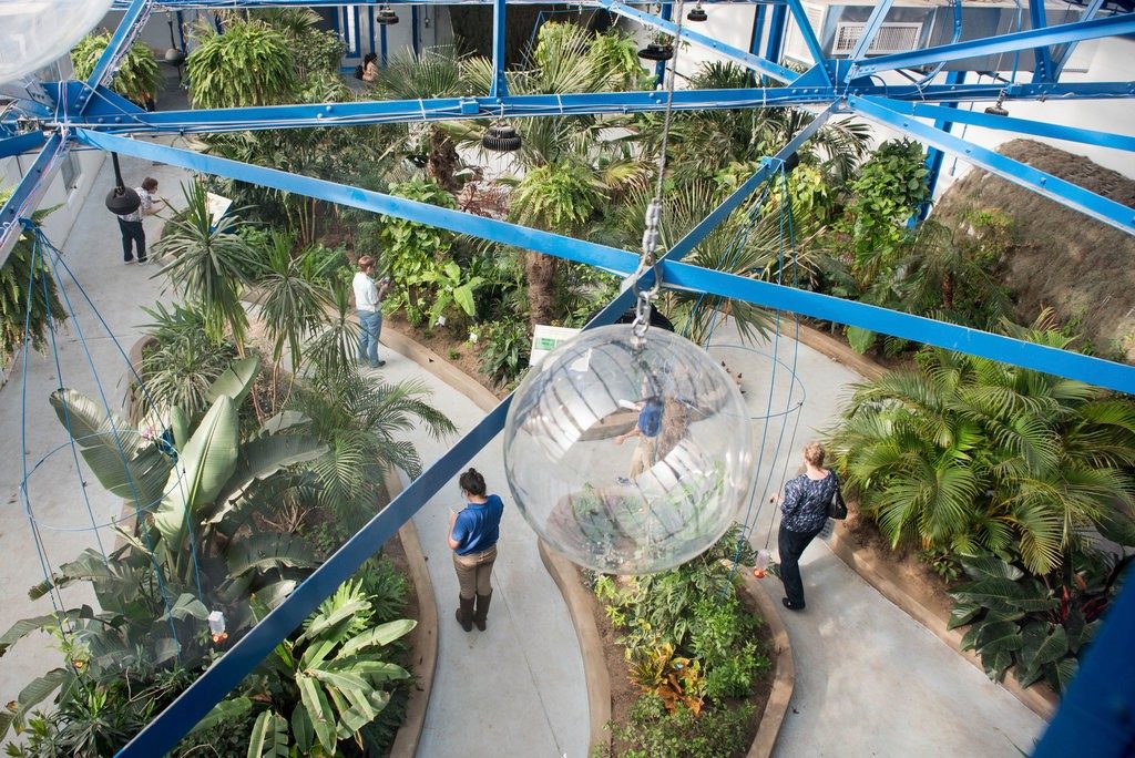 Insectarium and Butterfly Pavilion