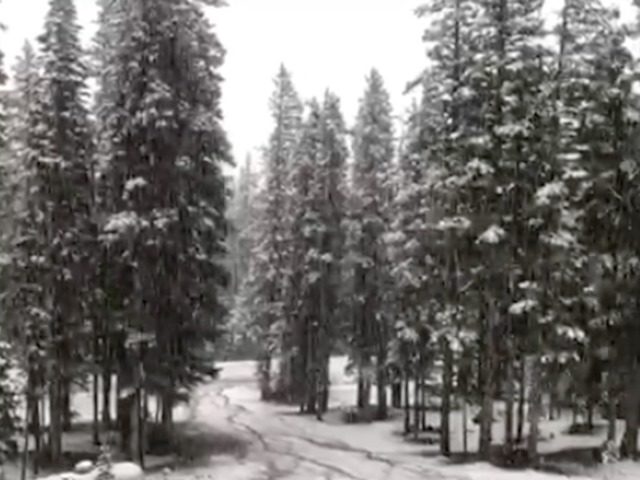Click to enlarge snow