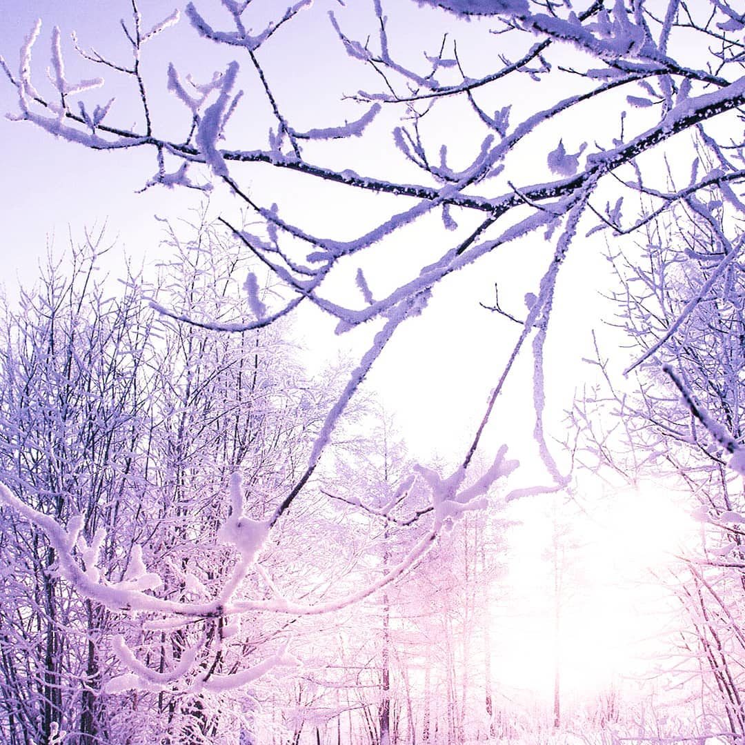 Click to enlarge snow