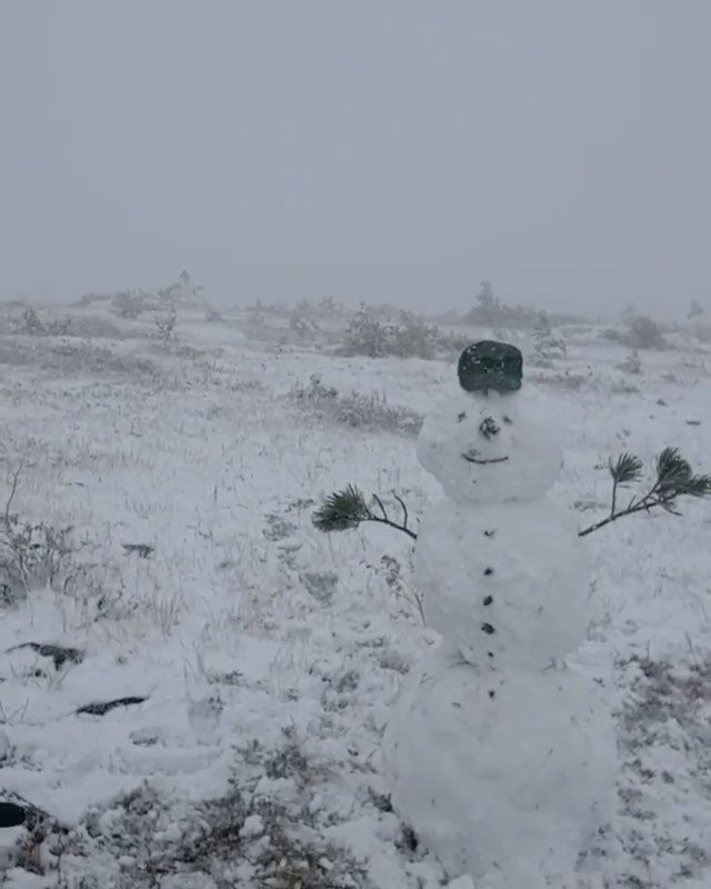 Click to enlarge snow