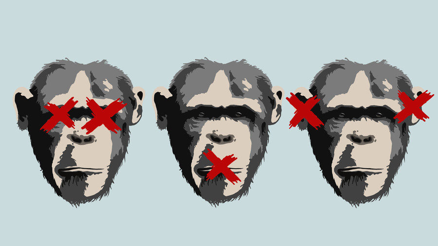 chimps