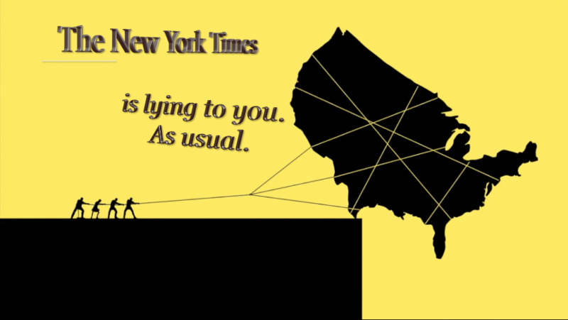 new york times op ed lies anonymous