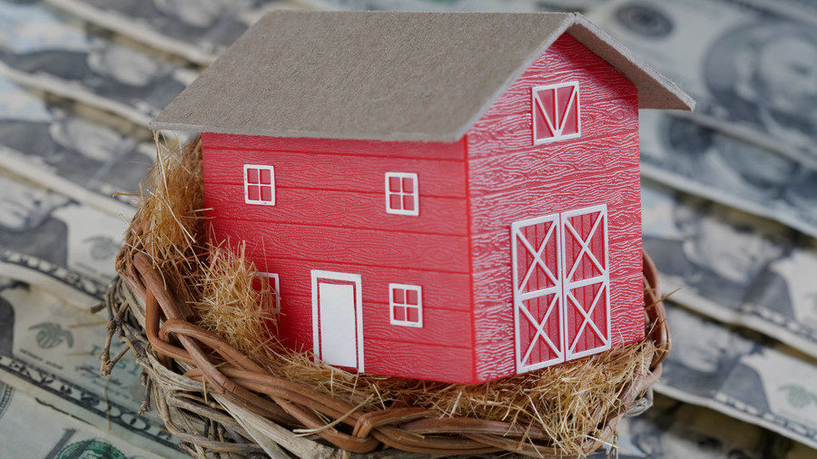 bird house