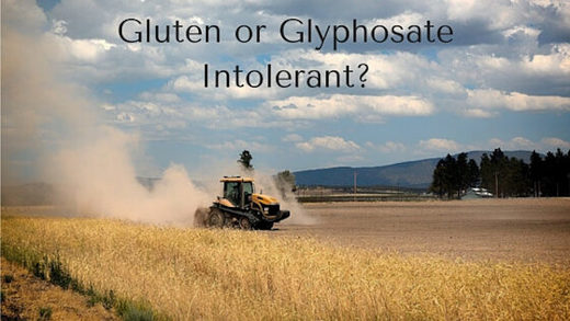 glyphosate