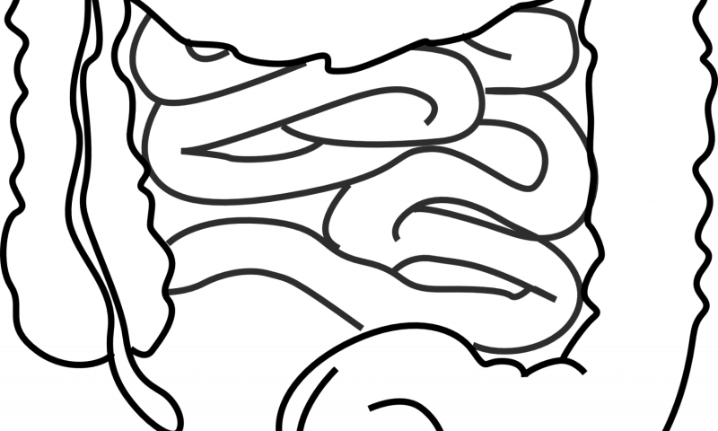 Click to enlarge gut illustration