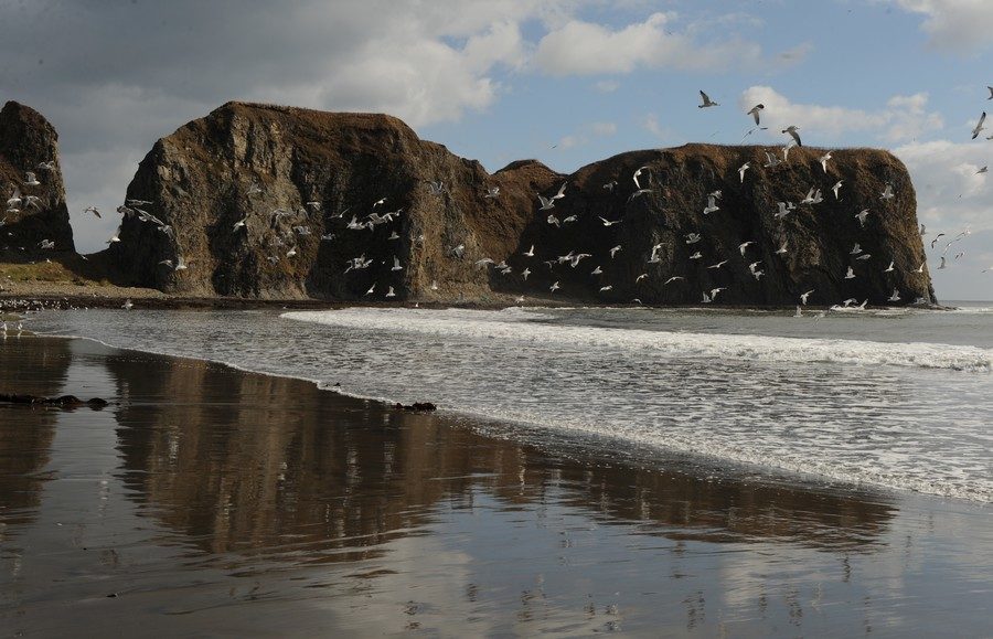 Click to enlarge Southern Kurils