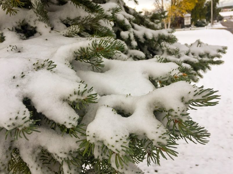 SNOW