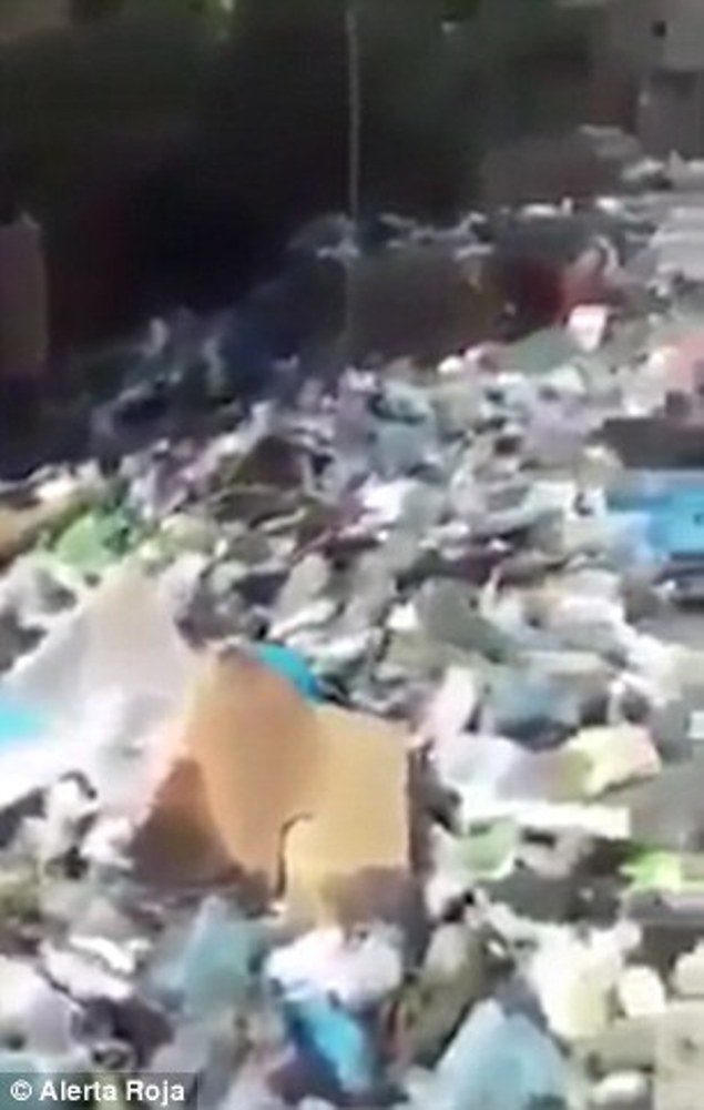 Beirut floods