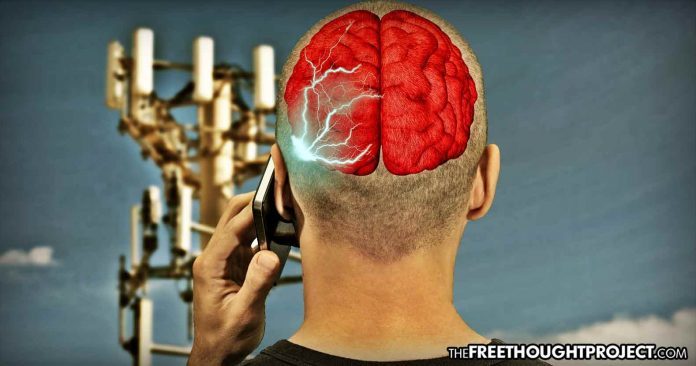 Click to enlarge 5G dangers wifi