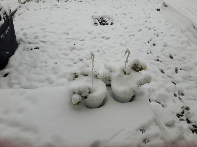 Fort St. John, BC | September 12, 2018