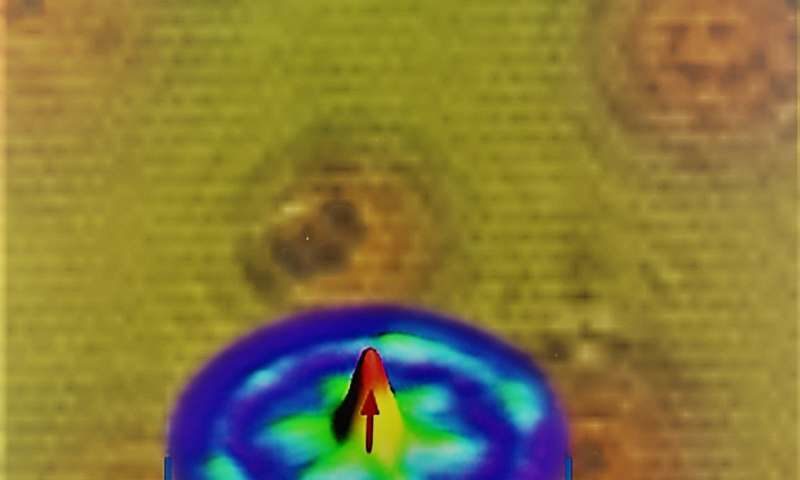 tunable quantum matter