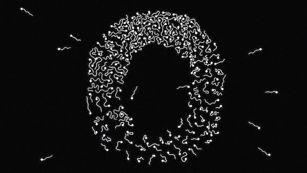 sperm count