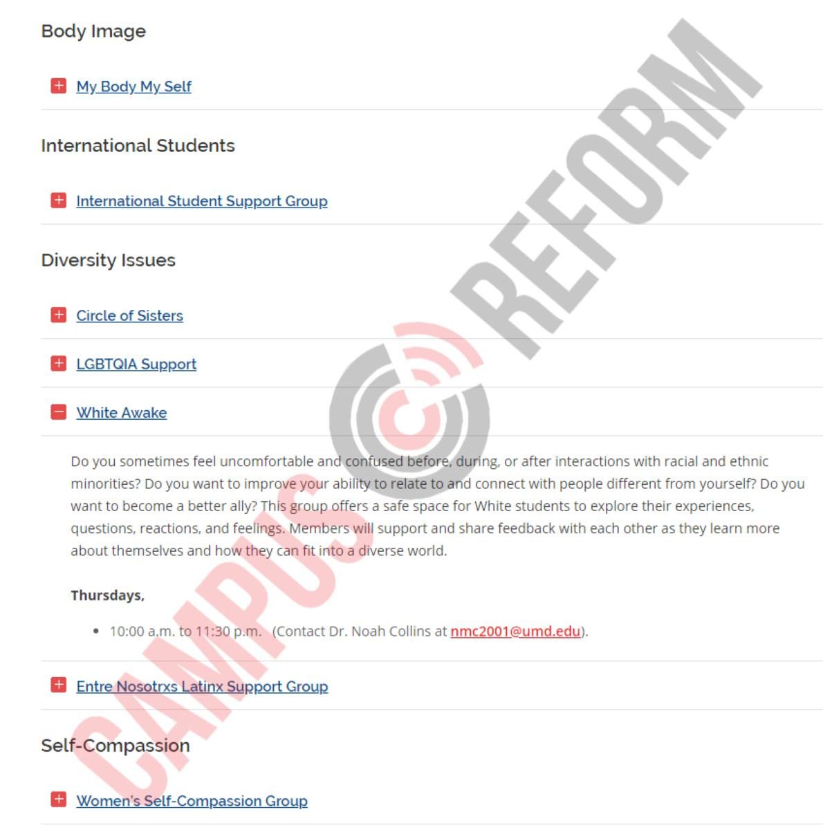 body image questionnaire