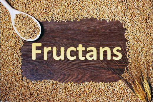 Click to enlarge fructan