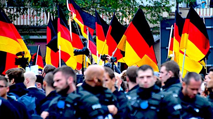 German riot police flags