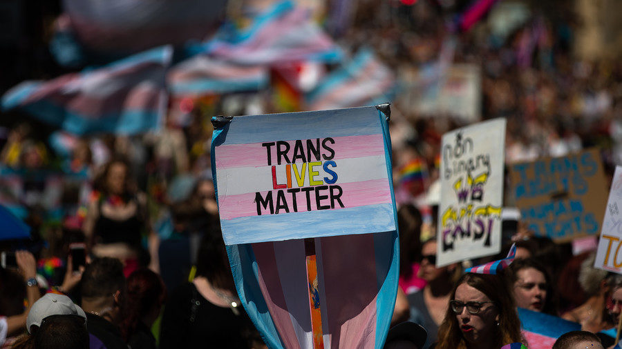 Click to enlarge trans lives matter