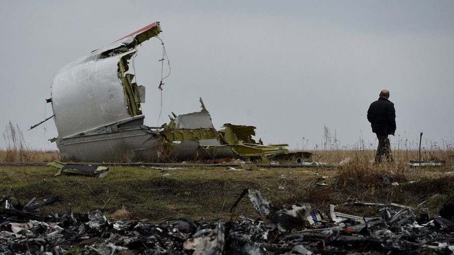 Click to enlarge MH17 crash site