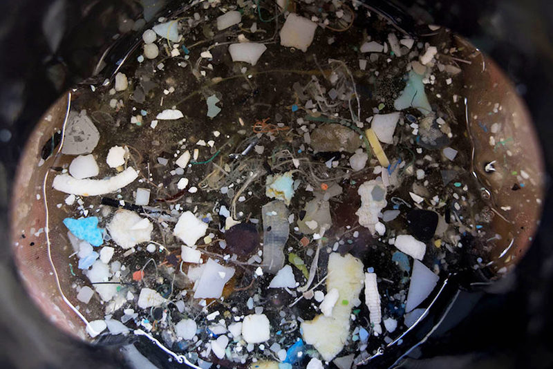 discarded plastic