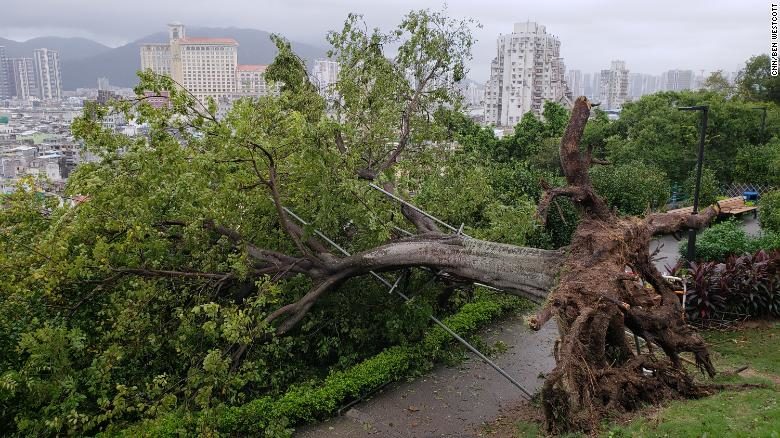 Click to enlarge Typhoon Mangkhut damage
