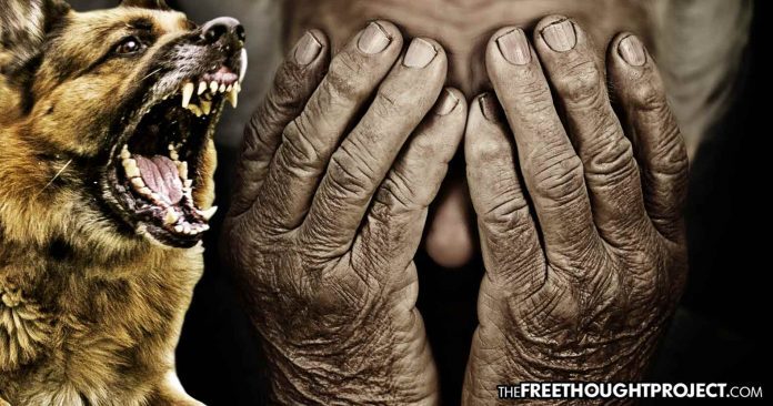 Click to enlarge dog attack