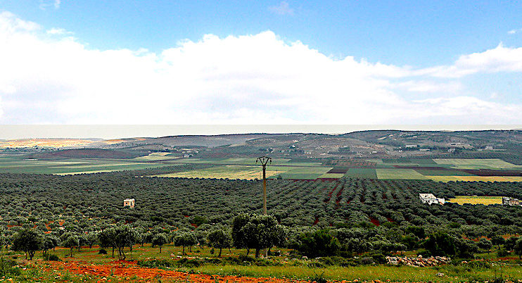 Idlib Syria