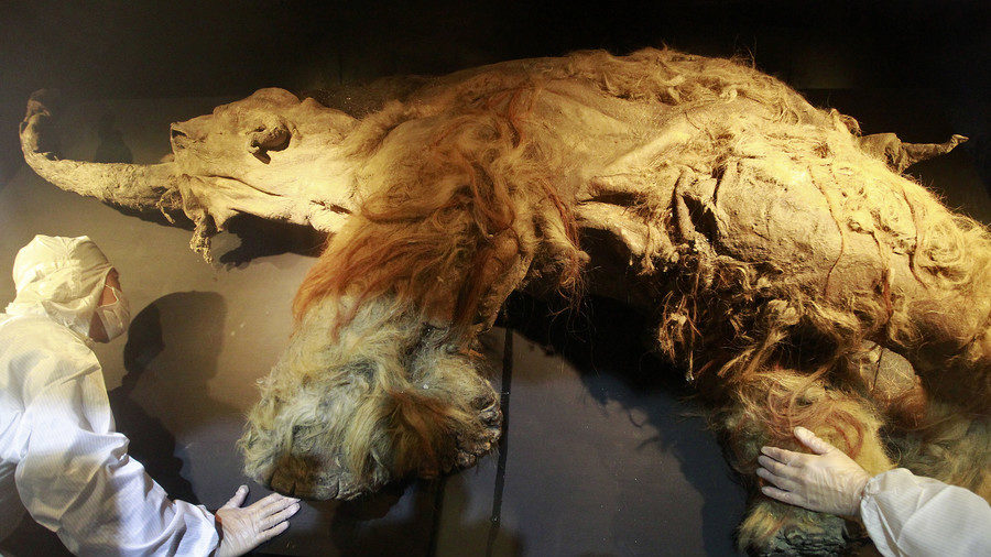 Click to enlarge Woolly mammoth