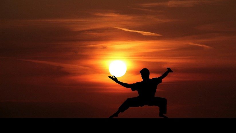 Kung Fu master