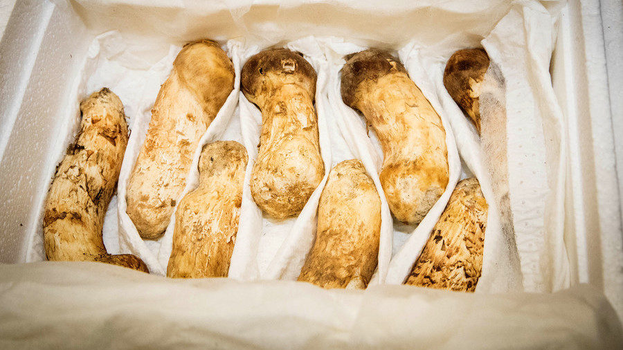 mushrooms