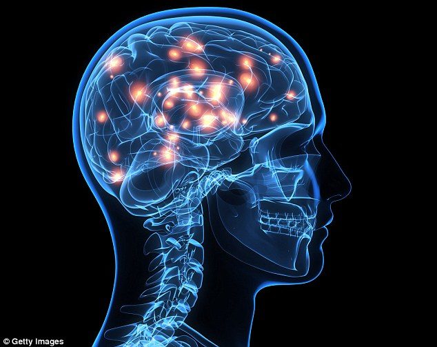 Click to enlarge brain