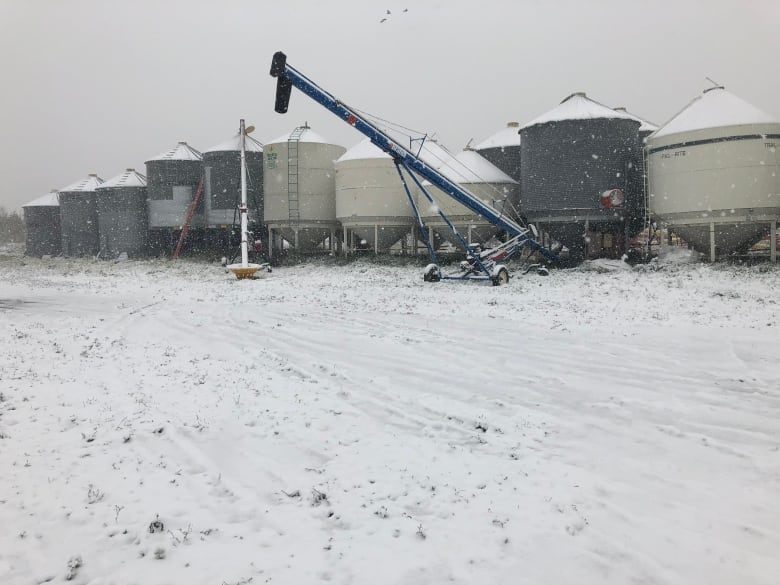 Click to enlarge These bins on Devon Walker's farm
